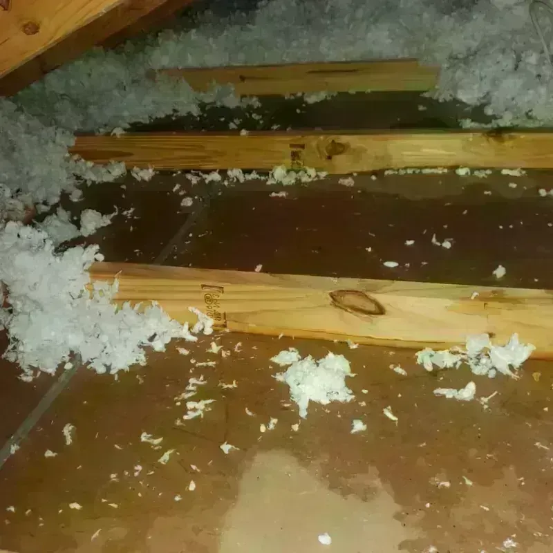 Attic Water Damage in Newport, IN