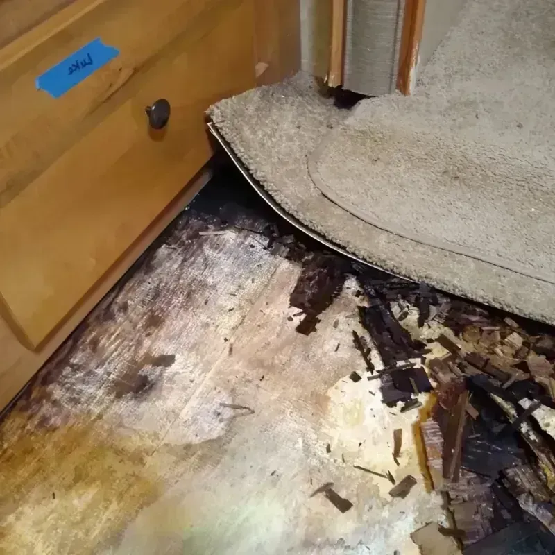 Best Wood Floor Water Damage Service in Newport, IN